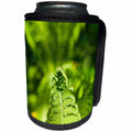 3dRose Alexis Photography - Nature Grass Fern - Top part of a fiddlehead fern. Green colors of spring - Can Cooler Bottle Wrap (cc_272995)