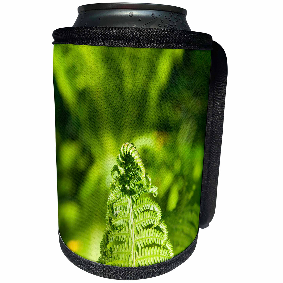 3dRose Alexis Photography - Nature Grass Fern - Top part of a fiddlehead fern. Green colors of spring - Can Cooler Bottle Wrap (cc_272995)