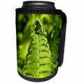 3dRose Alexis Photography - Nature Grass Fern - Closeup view of a sunlit fiddlehead fern - Can Cooler Bottle Wrap (cc_272996)