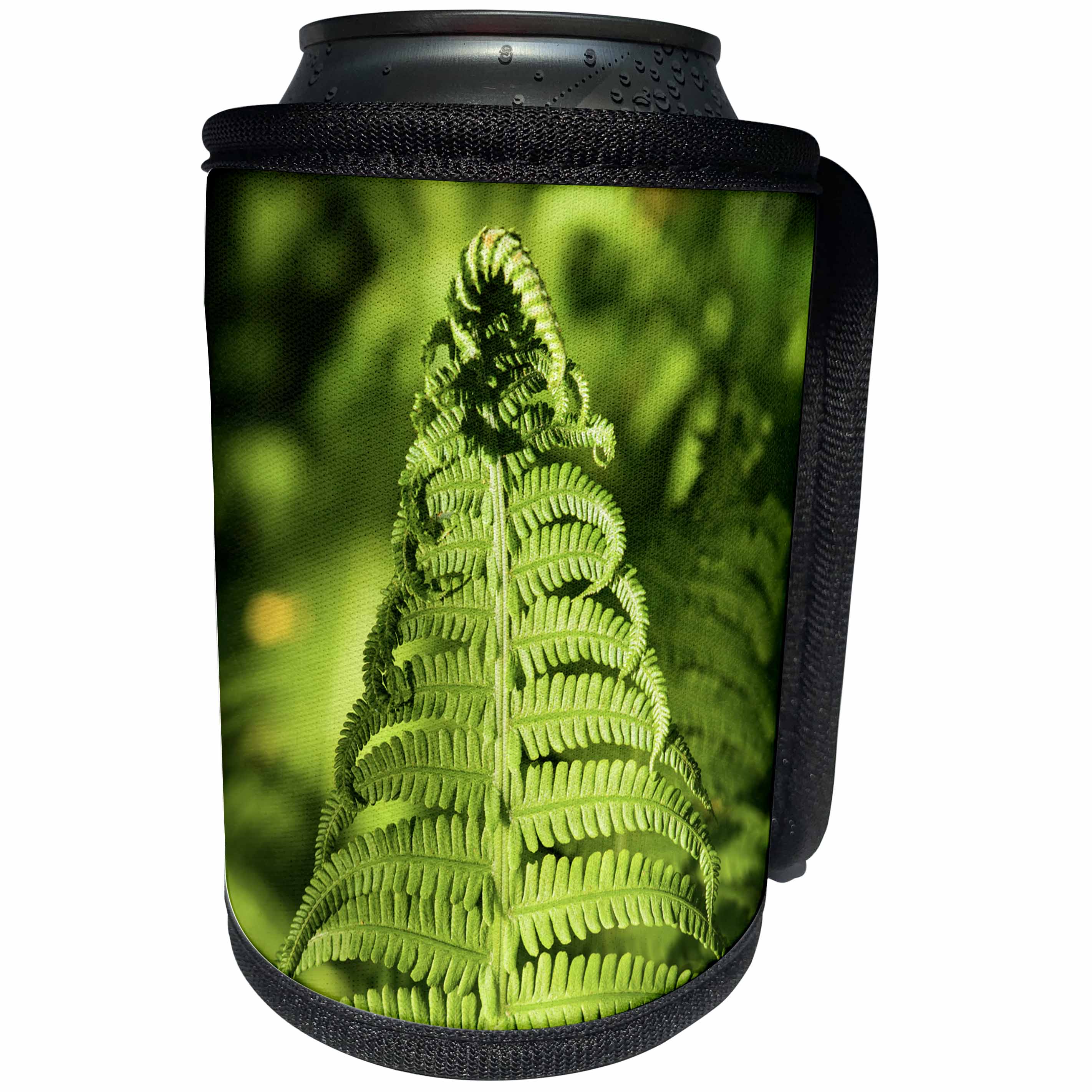 3dRose Alexis Photography - Nature Grass Fern - Closeup view of a sunlit fiddlehead fern - Can Cooler Bottle Wrap (cc_272996)