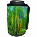 3dRose Alexis Photo-Art - Seasons-Spring - Sunlit branches of a willow tree in the evening - Can Cooler Bottle Wrap (cc_273002)