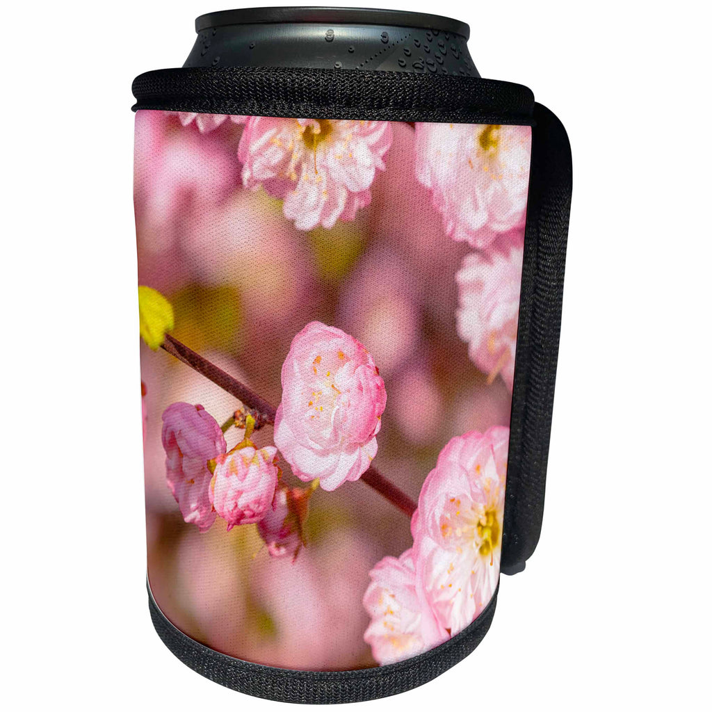3dRose Alexis Photography - Flowers Prunus Triloba - Prunus Triloba - Elegant flowers on a small twig, pink background - Can Cooler Bottle Wrap (cc_273013)