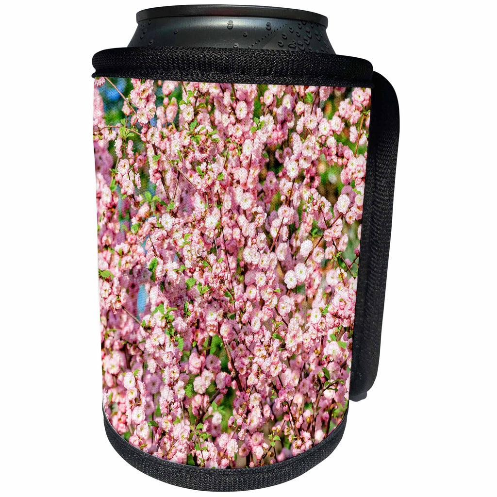 3dRose Alexis Photography - Flowers Prunus Triloba - Prunus Triloba - A tree in full bloom, pink and green colors - Can Cooler Bottle Wrap (cc_273017)