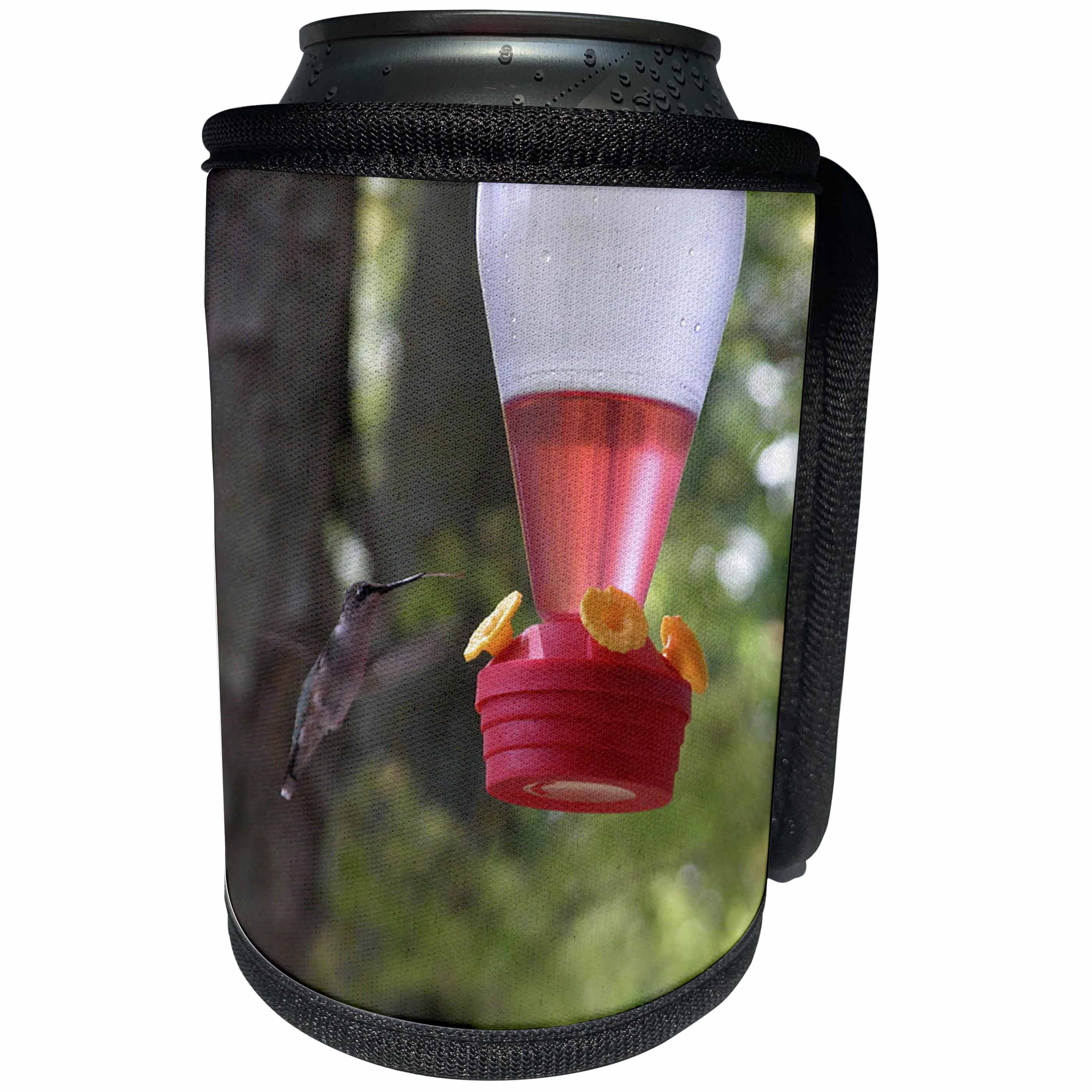 3dRose Beverly Turner Bird Photography - Hummingbird at Feeder - Can Cooler Bottle Wrap (cc_27304)