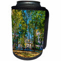 3dRose Alexis Photo-Art - Moscow City 2 - Moscow city art. Small yard in the old lane - Can Cooler Bottle Wrap (cc_273043)