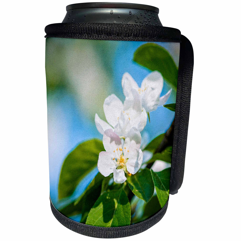 3dRose Alexis Photography - Flowers Apple - Beautiful white and pink apple blossom, green leaves - Can Cooler Bottle Wrap (cc_273054)
