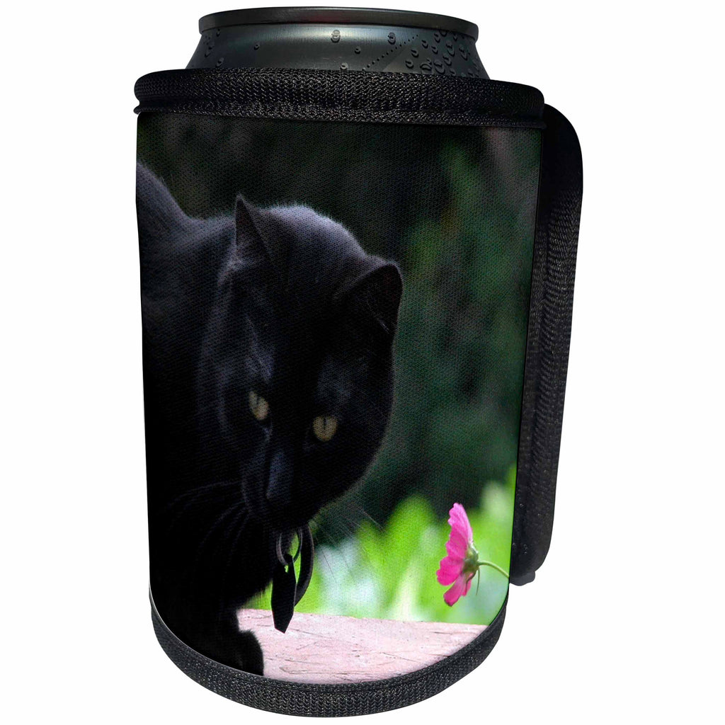 3dRose Beverly Turner Cat Photography - Black Cat with Flower - Can Cooler Bottle Wrap (cc_27309)