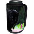 3dRose Beverly Turner Cat Photography - Black Cat with Flower - Can Cooler Bottle Wrap (cc_27309)