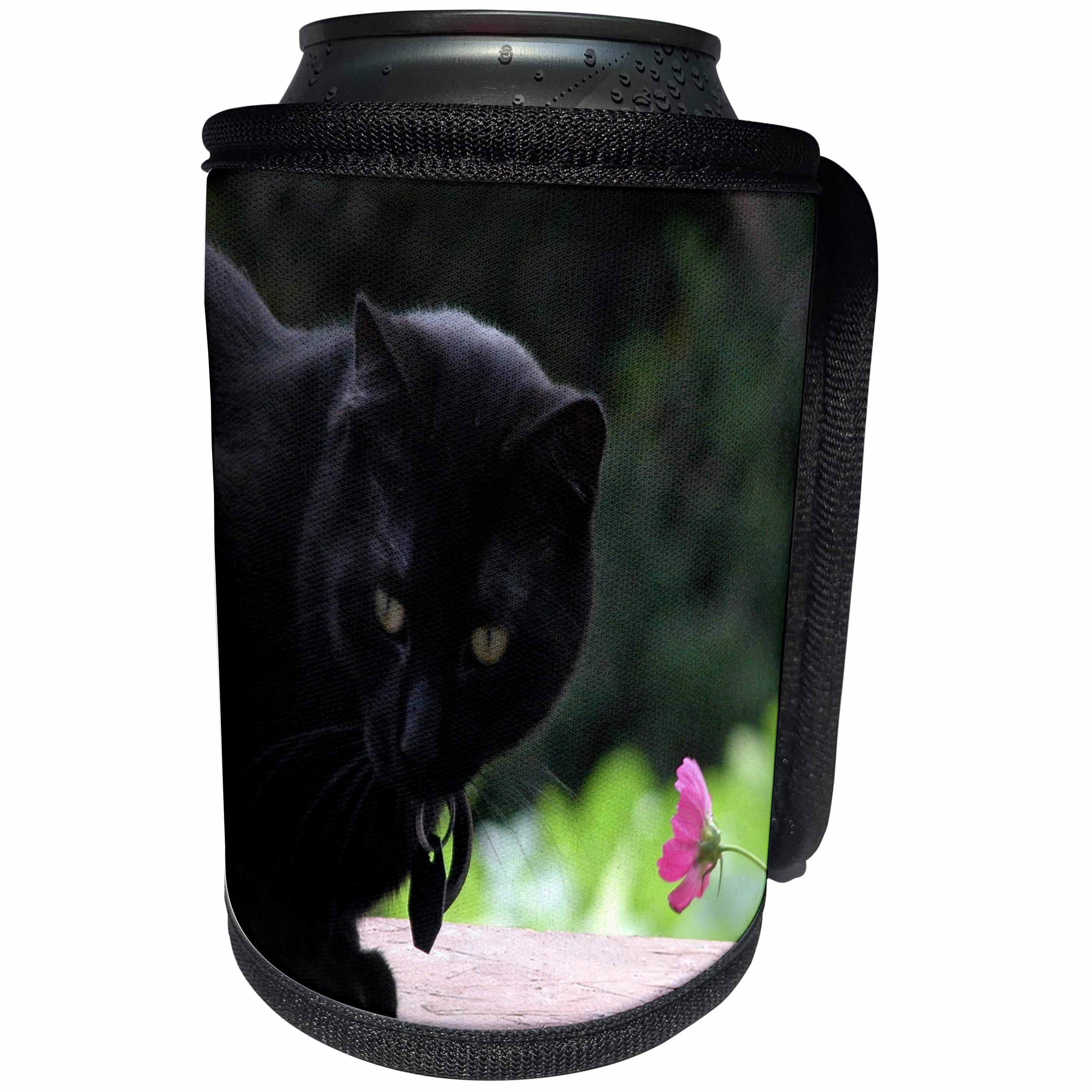 3dRose Beverly Turner Cat Photography - Black Cat with Flower - Can Cooler Bottle Wrap (cc_27309)