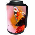 3dRose Alexis Photography - Insects Butterfly - Painted lady butterfly on a flower in macro, colorful background - Can Cooler Bottle Wrap (cc_273127)