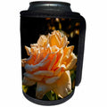 3dRose Alexis Photography - Flowers Rose - Sunlit yellow rose on a flowerbed - Can Cooler Bottle Wrap (cc_273224)