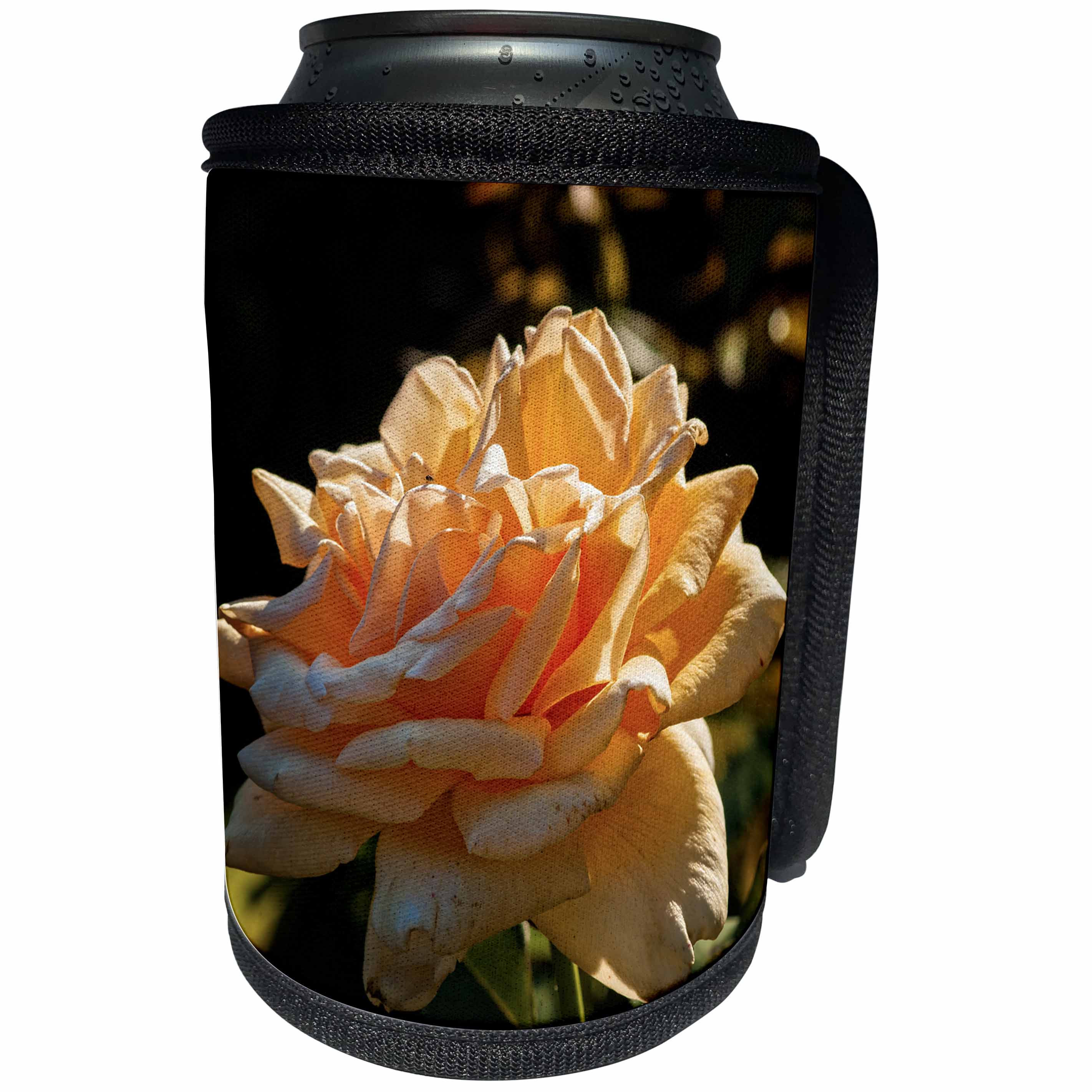3dRose Alexis Photography - Flowers Rose - Sunlit yellow rose on a flowerbed - Can Cooler Bottle Wrap (cc_273224)