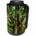 3dRose Alexis Photography - Seasons Summer - Old oak trees in summer - Can Cooler Bottle Wrap (cc_273231)