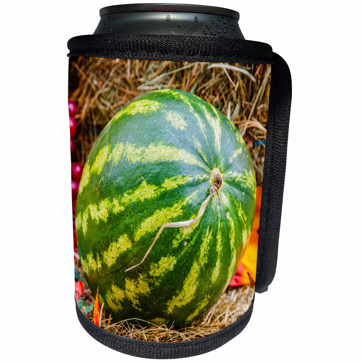 3dRose Alexis Photography - Food Watermelon - Green fresh watermelon on hay - Can Cooler Bottle Wrap (cc_273277)