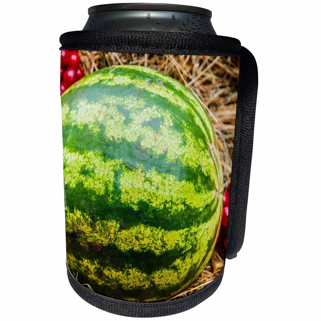 3dRose Alexis Photography - Food Watermelon - Green fresh watermelon on hay, autumn scene - Can Cooler Bottle Wrap (cc_273278)
