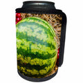 3dRose Alexis Photography - Food Watermelon - Green fresh watermelon on hay, autumn scene - Can Cooler Bottle Wrap (cc_273278)