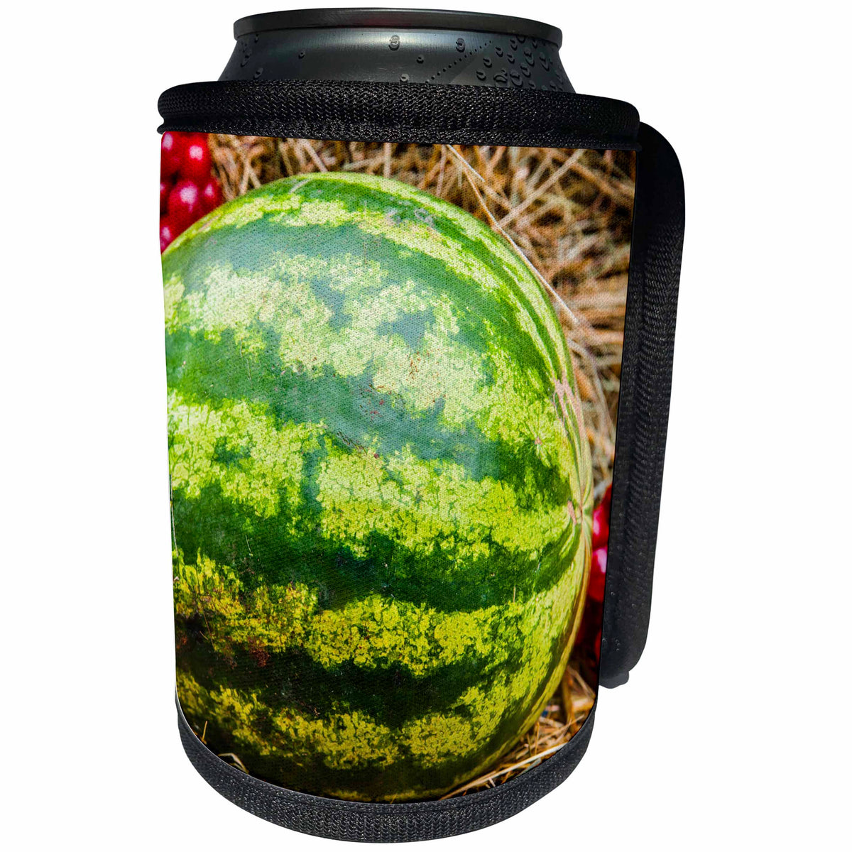 3dRose Alexis Photography - Food Watermelon - Green fresh watermelon on hay, autumn scene - Can Cooler Bottle Wrap (cc_273278)