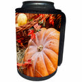 3dRose Alexis Photography - Food Pumpkin - Fresh pumpkin, hay, decorative leaves. Autumn scene - Can Cooler Bottle Wrap (cc_273280)