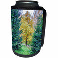 3dRose Alexis Photography - Seasons Autumn - Young oak tree between two fir trees on a wet autumn day - Can Cooler Bottle Wrap (cc_273289)