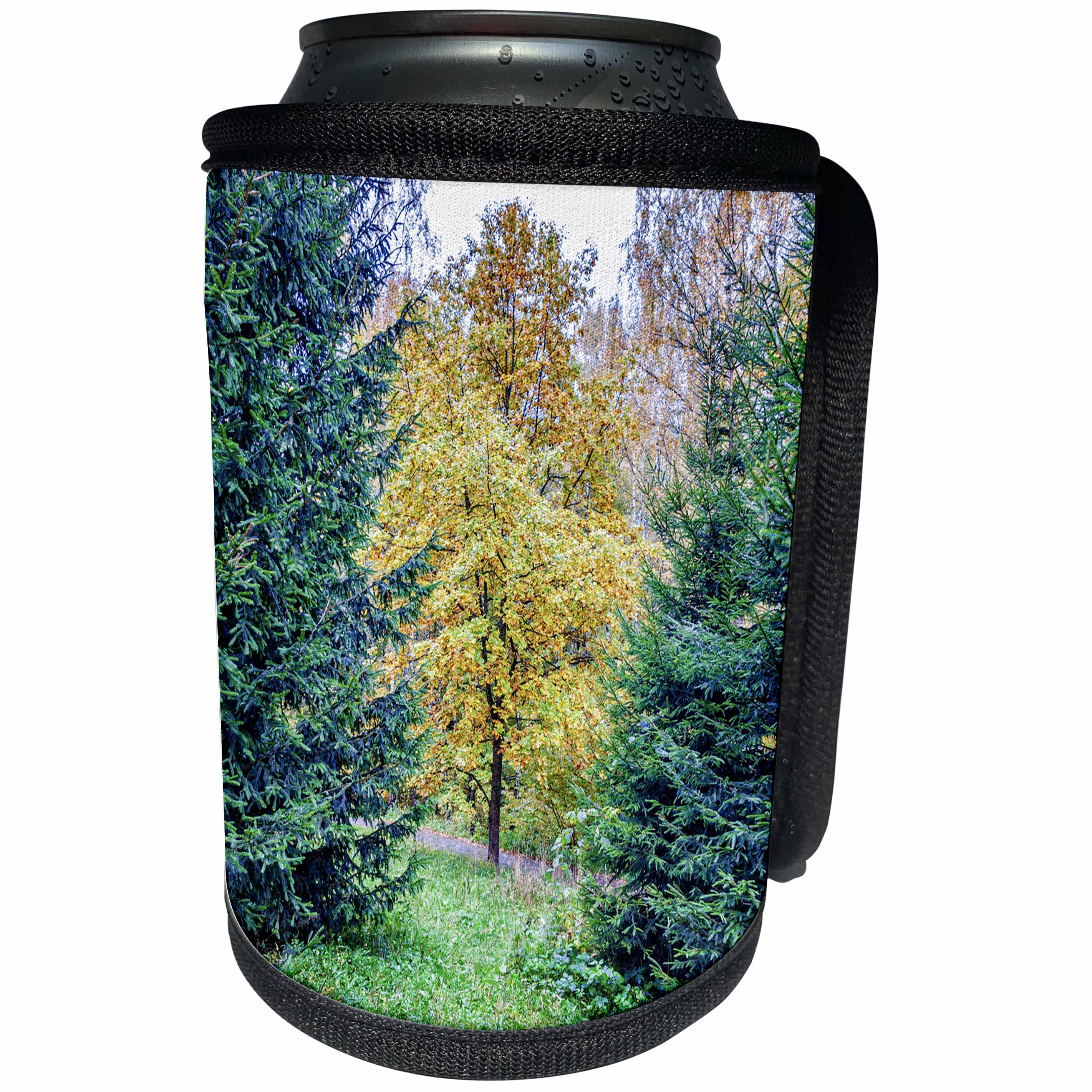 3dRose Alexis Photography - Seasons Autumn - Young oak tree between two fir trees on a wet autumn day - Can Cooler Bottle Wrap (cc_273289)