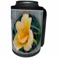 3dRose Beverly Turner Thinking of you Photography - Yellow Lily Thinking of you - Can Cooler Bottle Wrap (cc_27337)
