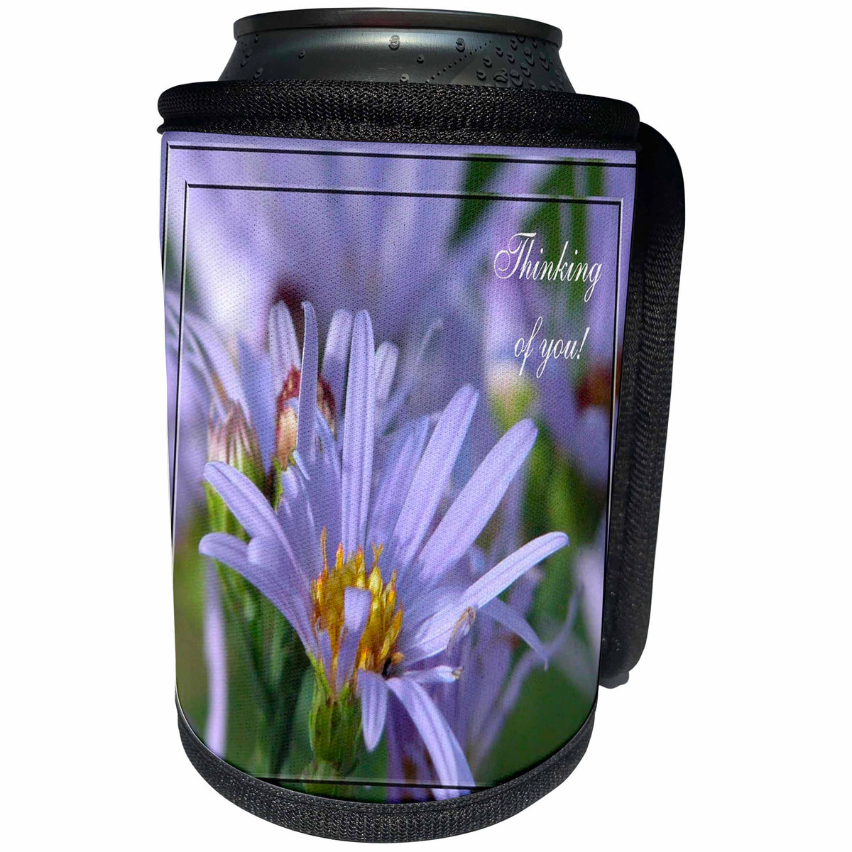 3dRose Beverly Turner Thinking of you Photography - Purple English Aster Flowers Thinking of You - Can Cooler Bottle Wrap (cc_27338)