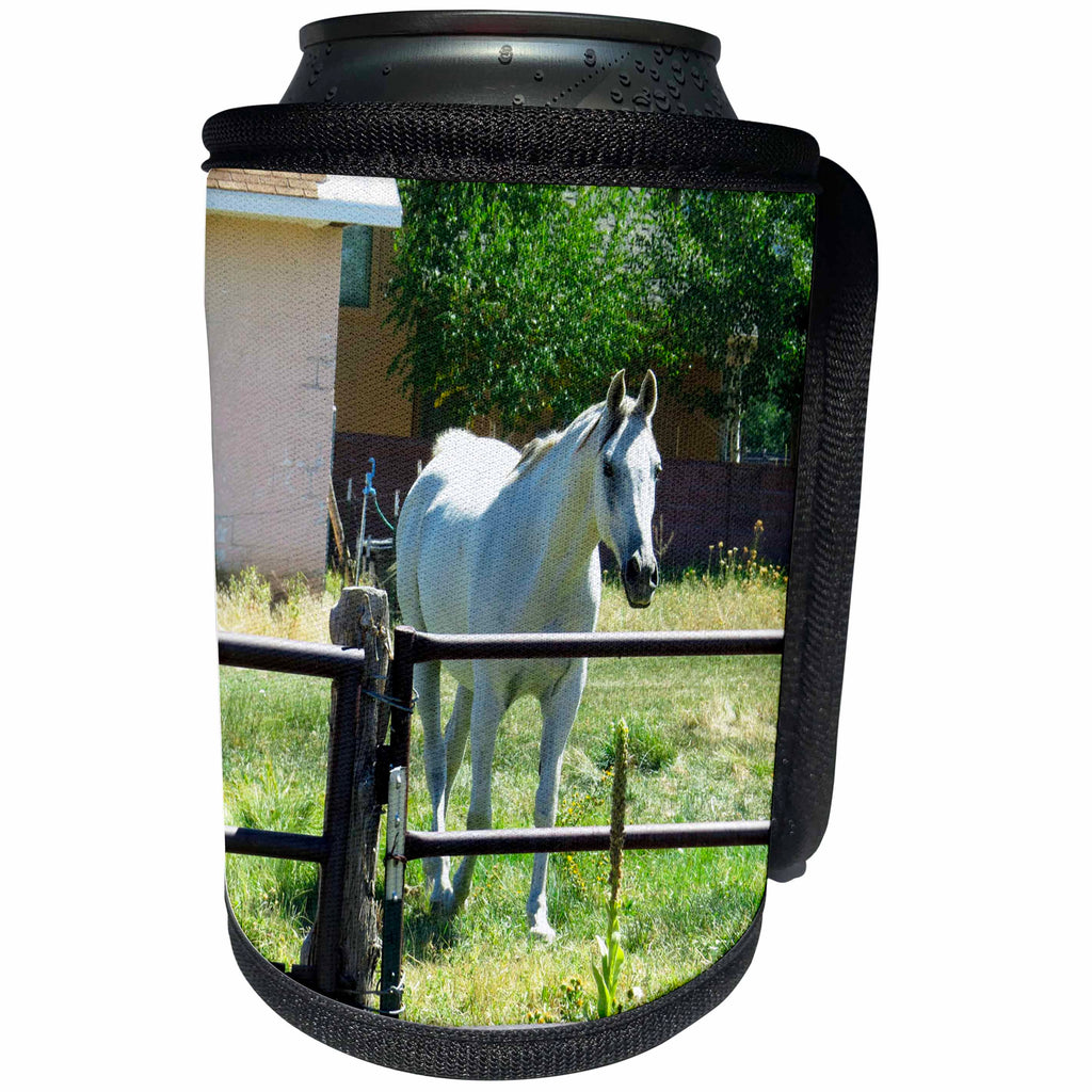 3dRose Jos Fauxtographee- White Horse - A white horse behind a fence on green grass - Can Cooler Bottle Wrap (cc_273439)