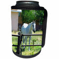 3dRose Jos Fauxtographee- White Horse - A white horse behind a fence on green grass - Can Cooler Bottle Wrap (cc_273439)
