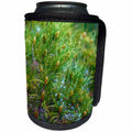 3dRose Jos Fauxtographee- Pine Tree - A Pine tree shot up close in the forest - Can Cooler Bottle Wrap (cc_273441)