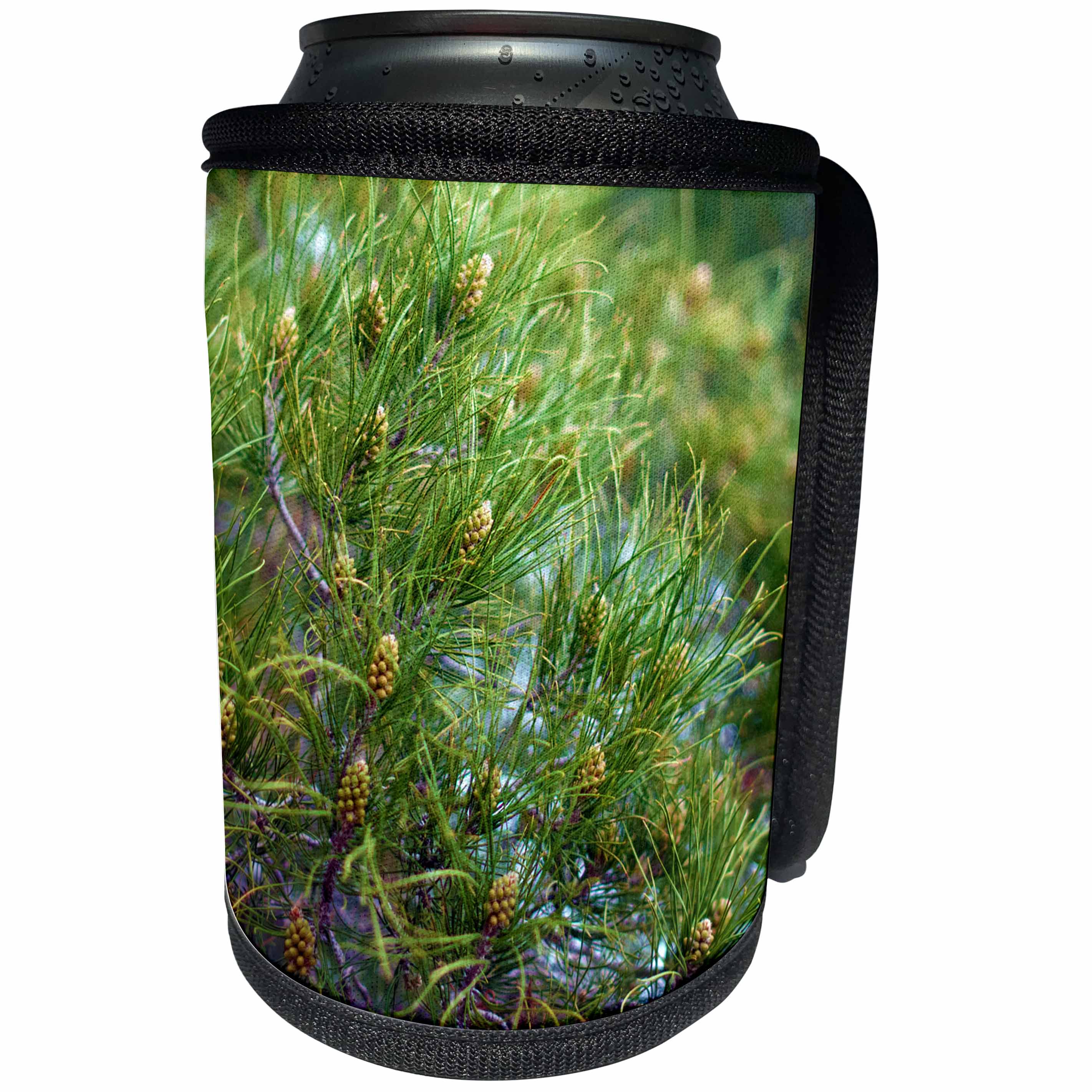 3dRose Jos Fauxtographee- Pine Tree - A Pine tree shot up close in the forest - Can Cooler Bottle Wrap (cc_273441)