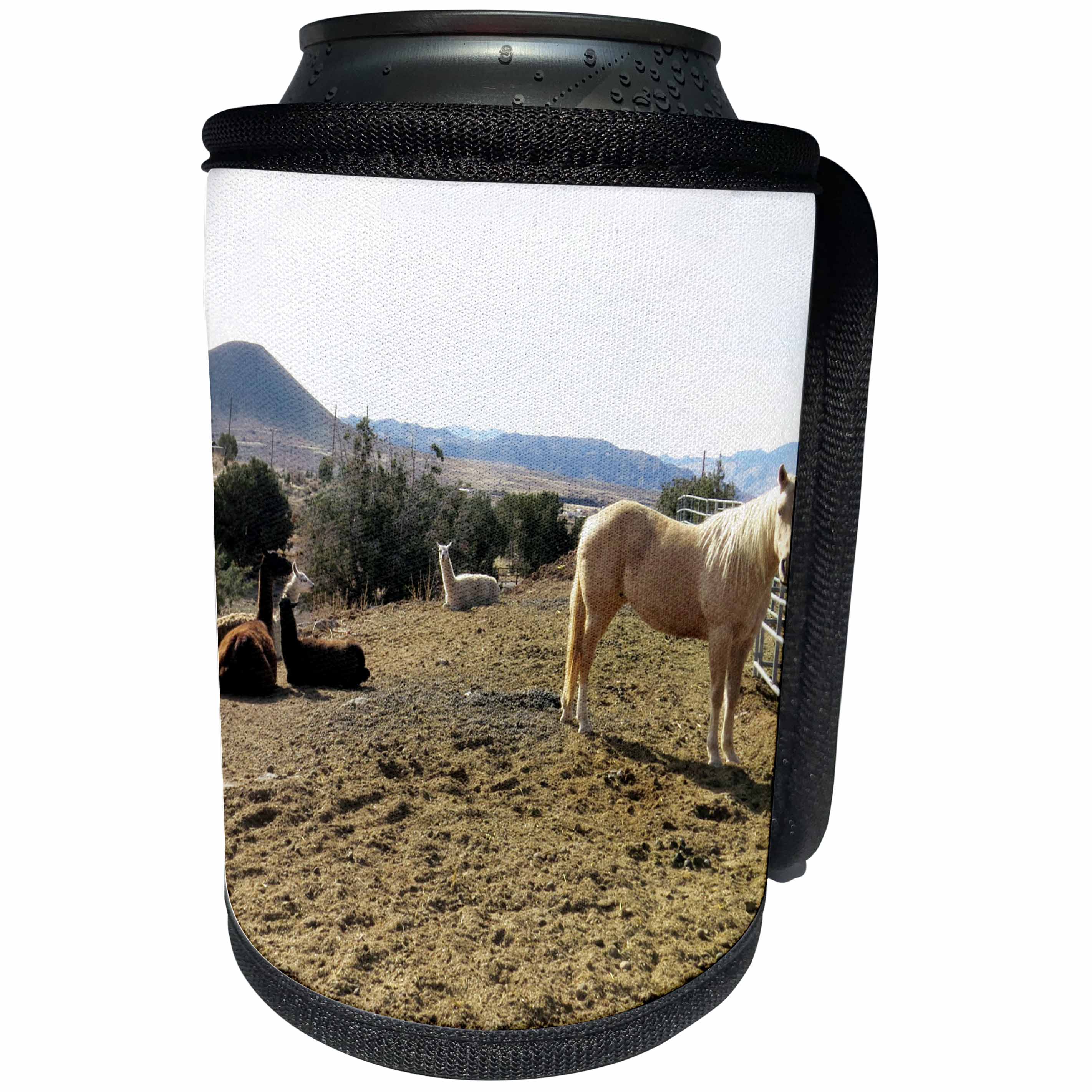 3dRose Jos Fauxtographee- Horse and Alpacas - A horse and some alpacas in a yard in Veyo Utah - Can Cooler Bottle Wrap (cc_273462)