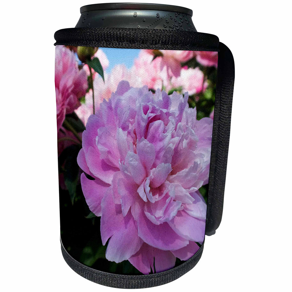 3dRose Tory Anne Collections Photography - PINK PEONIES - Can Cooler Bottle Wrap (cc_273521)