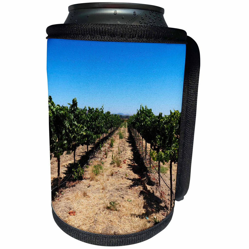 3dRose Tory Anne Collections Photography - SONOMA CALIFORNIA WINE VINEYARD - Can Cooler Bottle Wrap (cc_273529)