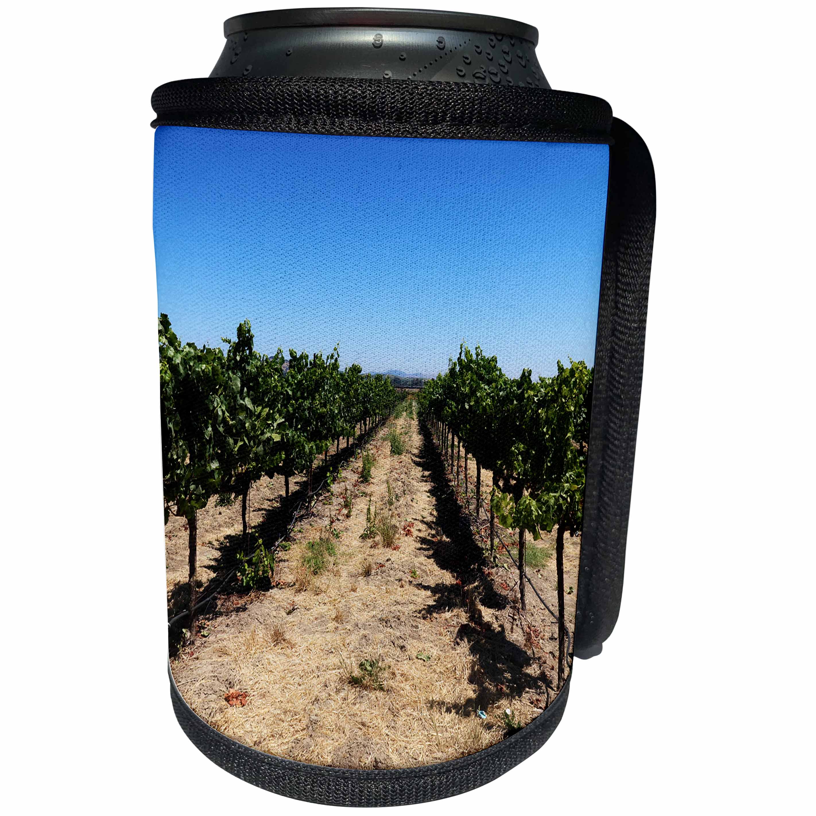3dRose Tory Anne Collections Photography - SONOMA CALIFORNIA WINE VINEYARD - Can Cooler Bottle Wrap (cc_273529)