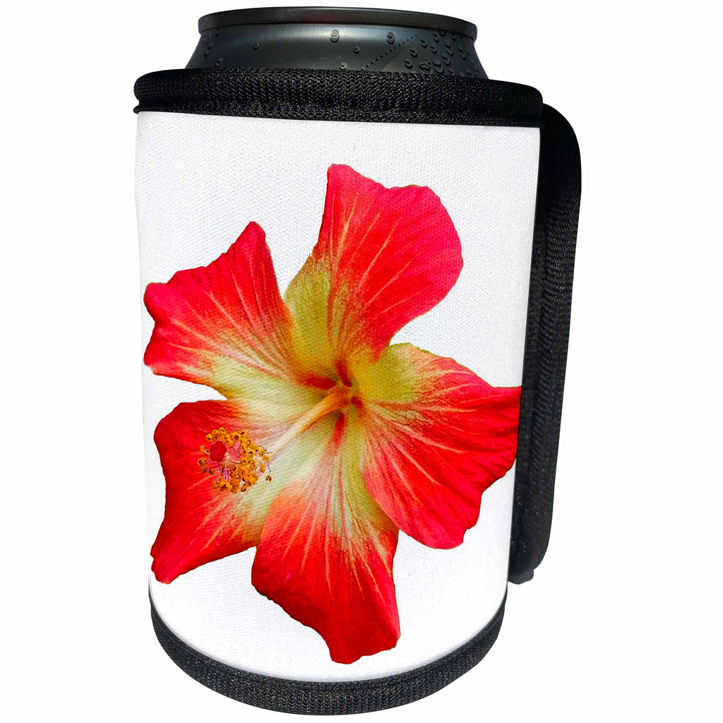 3dRose Taiche - Photography - Hibiscus - Gorgeous Red And Gold Hawaiian Hibiscus Flower - Can Cooler Bottle Wrap (cc_273634)