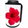 3dRose Taiche - Photography - Hibiscus - Stunning Red Hibiscus Flower - Can Cooler Bottle Wrap (cc_273643)