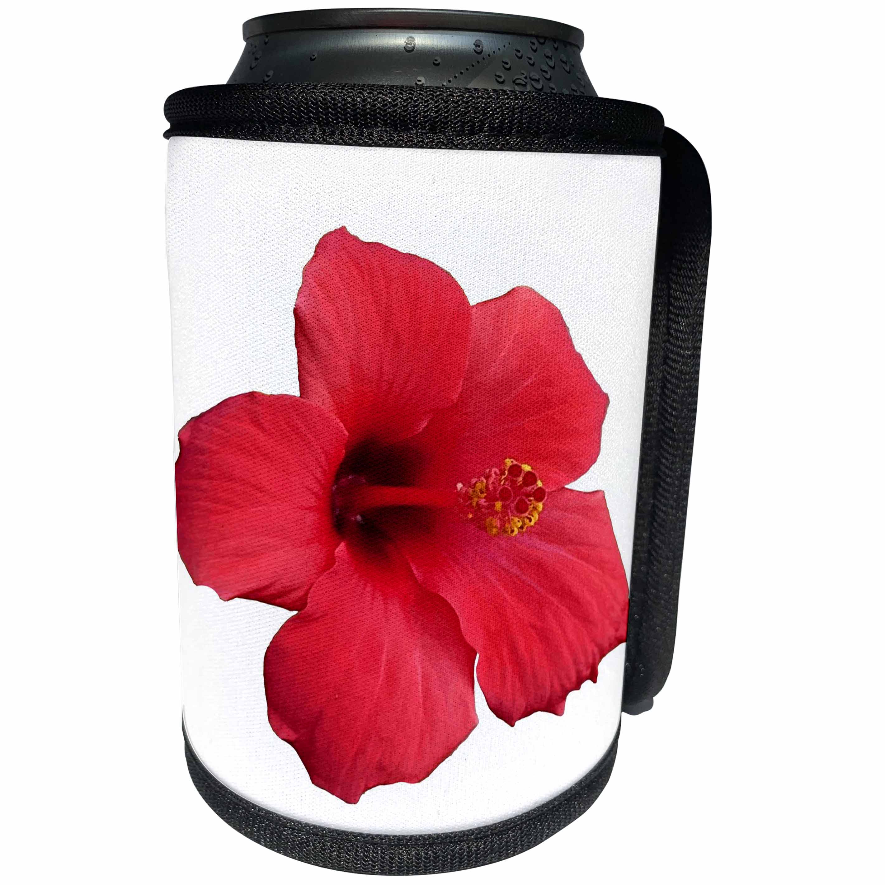3dRose Taiche - Photography - Hibiscus - Stunning Red Hibiscus Flower - Can Cooler Bottle Wrap (cc_273643)