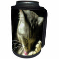3dRose Taiche - Acrylic Painting - Cat - Soft And Gentle Fur And Purr Of A Grey Cat - Can Cooler Bottle Wrap (cc_273665)