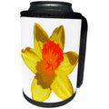3dRose Taiche - Vector - Daffodil - Spring Daffodil Vector Isolated - Can Cooler Bottle Wrap (cc_273670)
