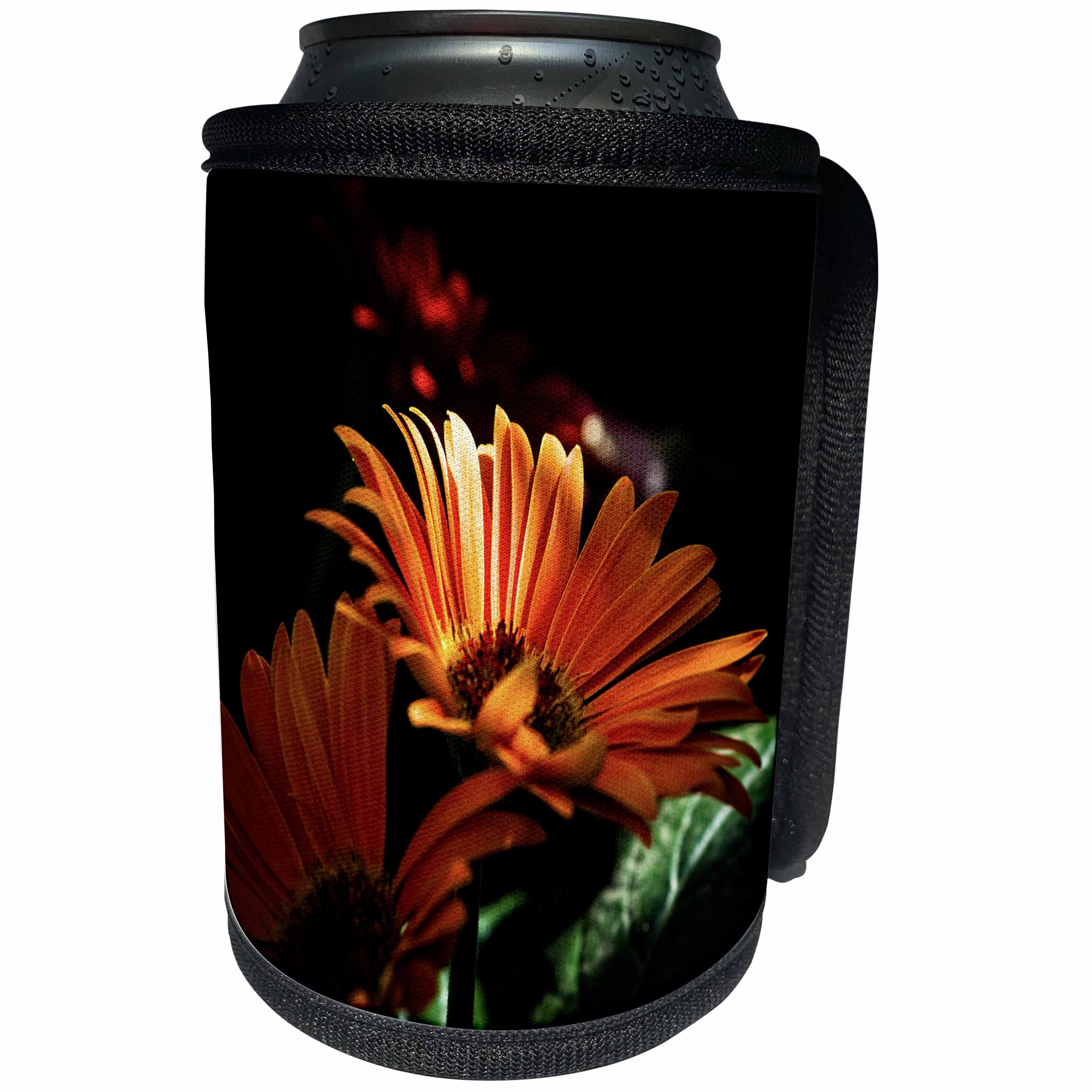 3dRose Alexis Photography - Flowers Daisy - Sunlit orange daisy flower against the dark background - Can Cooler Bottle Wrap (cc_273676)