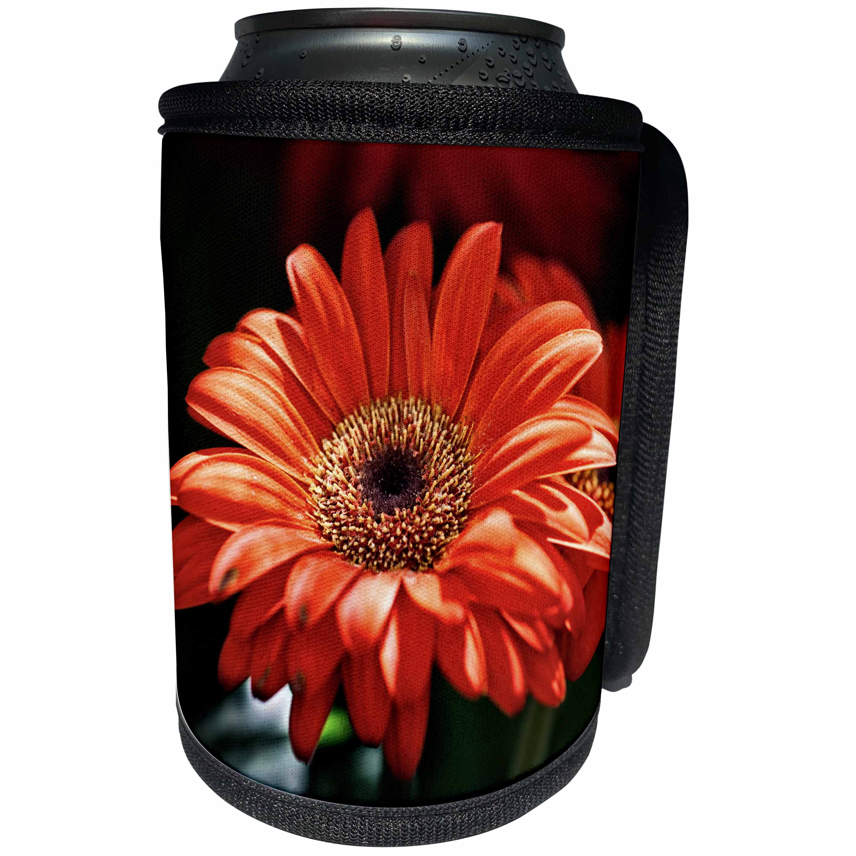3dRose Alexis Photography - Flowers Daisy - Closeup view of a red daisy flower - Can Cooler Bottle Wrap (cc_273681)