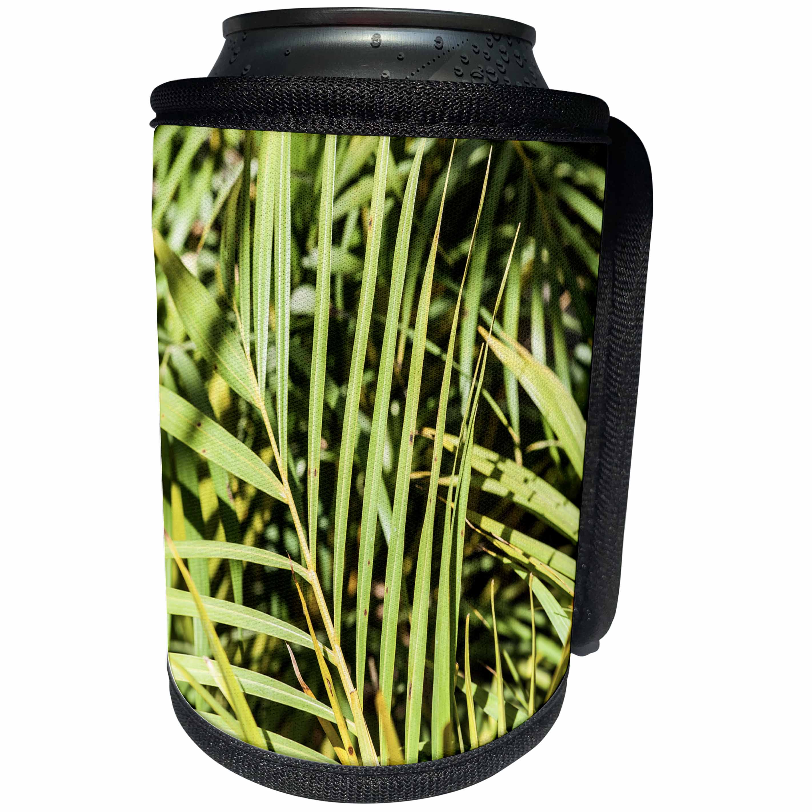 3dRose Alexis Photography - Nature Grass - Leaves and blades of decorative grass - Can Cooler Bottle Wrap (cc_273688)