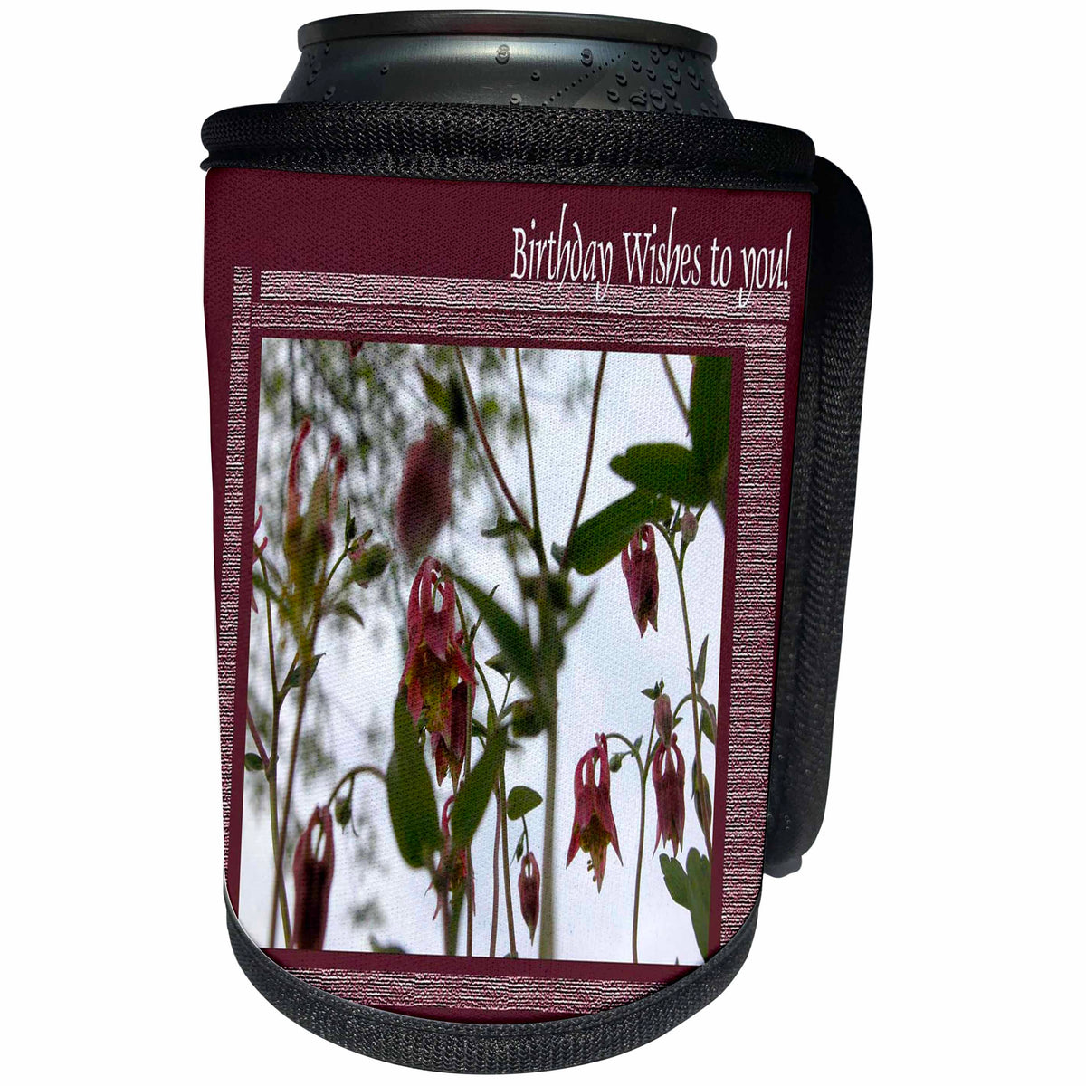 3dRose Beverly Turner Birthday Photography - Columbine Flowers Birthday Wishes to You - Can Cooler Bottle Wrap (cc_27369)