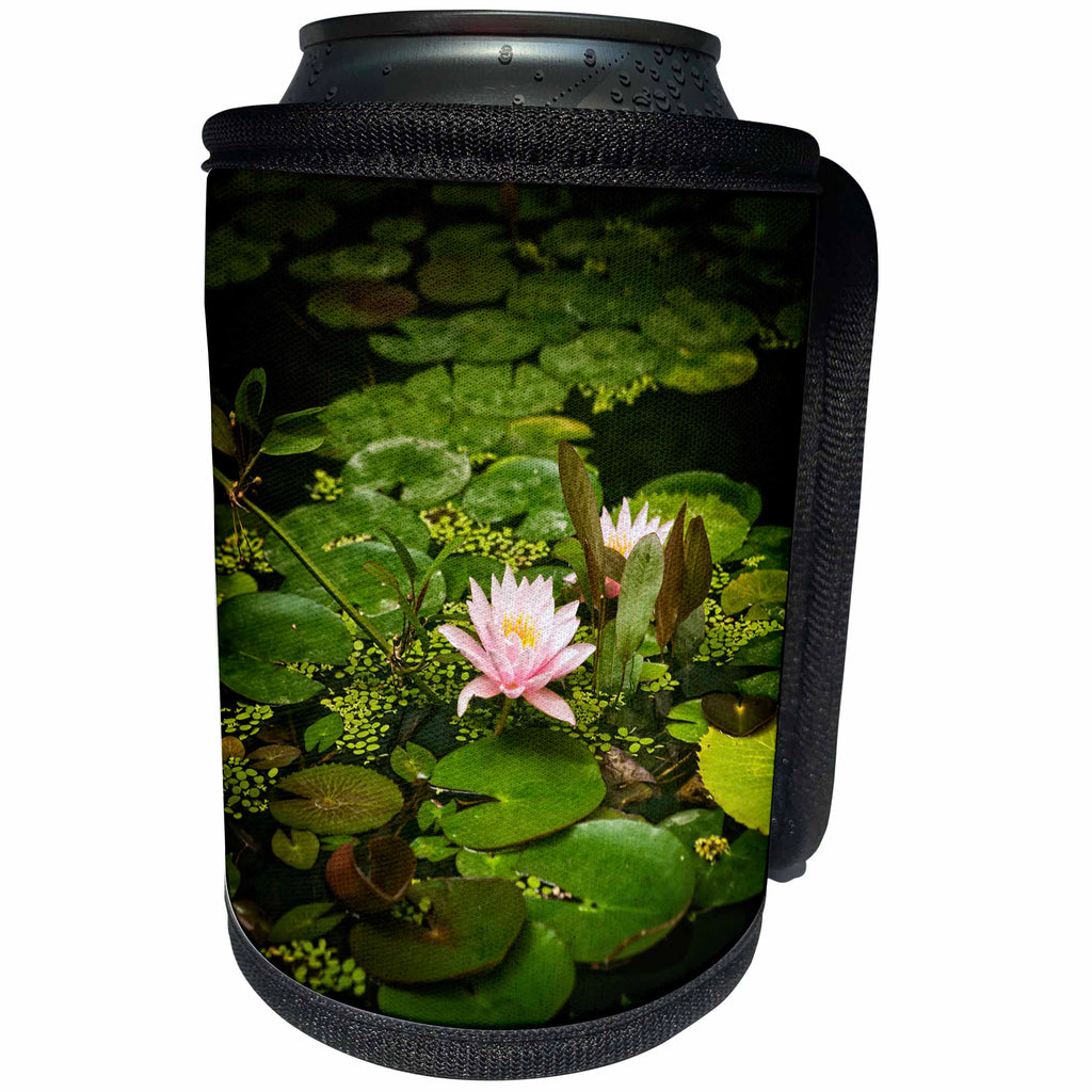 3dRose Alexis Photography - Flowers - Beautiful pink water lily flower in an artificial pond - Can Cooler Bottle Wrap (cc_273726)