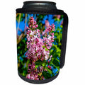 3dRose Alexis Photography - Flowers Lilacs - Cluster of sunlit pink lilac flowers, green and blue background - Can Cooler Bottle Wrap (cc_273777)