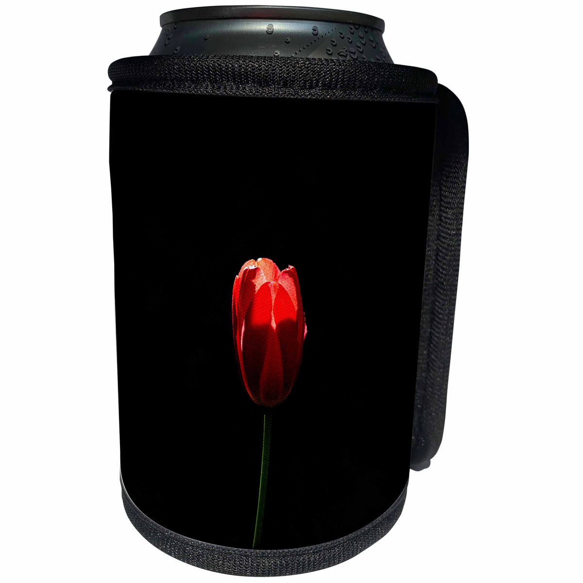 3dRose Alexis Photography - Flowers Tulip - Sunlit red tulip, black background. Minimalist composition - Can Cooler Bottle Wrap (cc_273781)