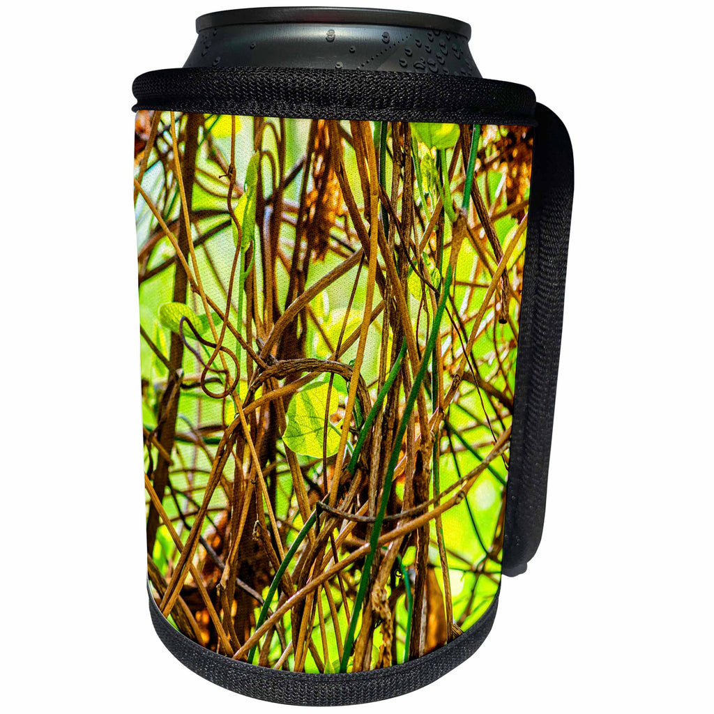 3dRose Alexis Photography - Nature Plants - Mix of brown shoots of a decorative plant. Abstract of nature - Can Cooler Bottle Wrap (cc_273799)