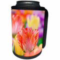3dRose Alexis Photography - Flowers Tulip - Beautiful red and beige tulip among colorful flowers - Can Cooler Bottle Wrap (cc_273843)