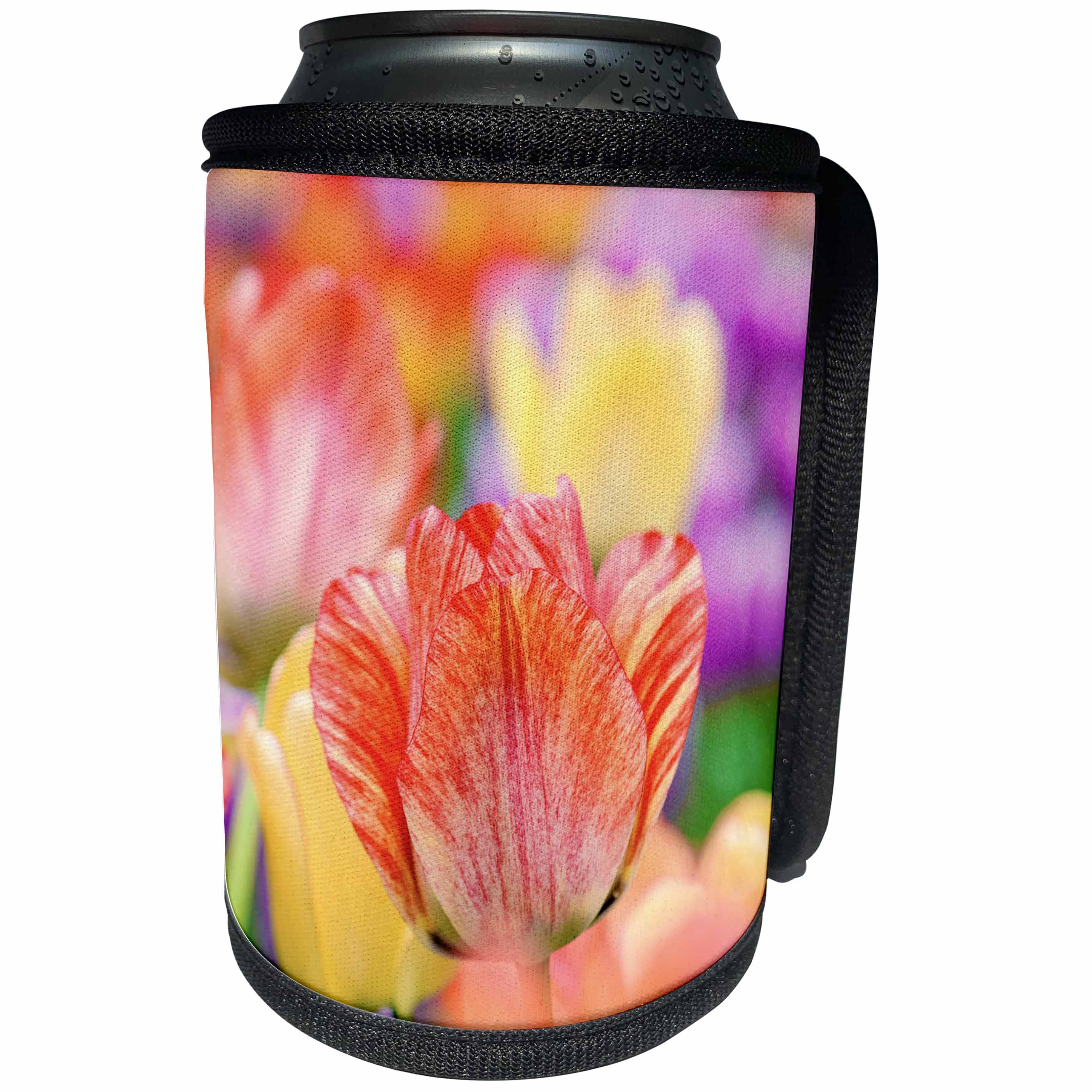 3dRose Alexis Photography - Flowers Tulip - Beautiful red and beige tulip among colorful flowers - Can Cooler Bottle Wrap (cc_273843)
