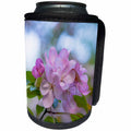 3dRose Alexis Photography - Flowers Apple - Soft pink apple flowers, green leaves, blue and white background - Can Cooler Bottle Wrap (cc_273876)
